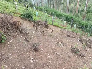 40P – Prime Residential / Leisure Land for Sale in Lindula | SL14687