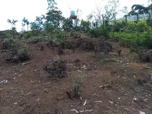 40P – Prime Residential / Leisure Land for Sale in Lindula | SL14687