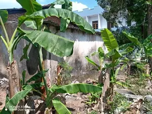 Land with House for Sale Ratmalana