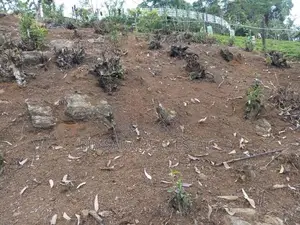 40P – Prime Residential / Leisure Land for Sale in Lindula | SL14687