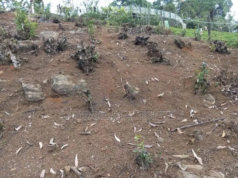 40P – Prime Residential / Leisure Land for Sale in Lindula | SL14687