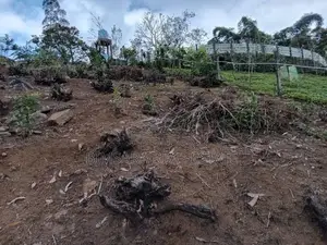 40P – Prime Residential / Leisure Land for Sale in Lindula | SL14687