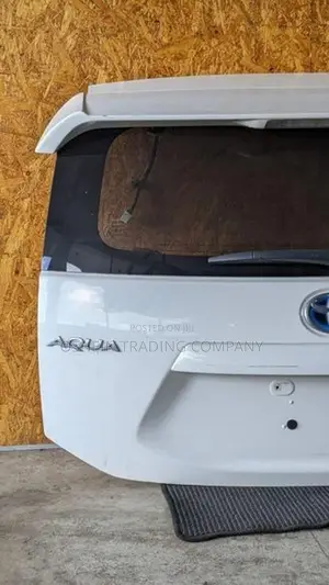 AQUA DICKEY DOOR