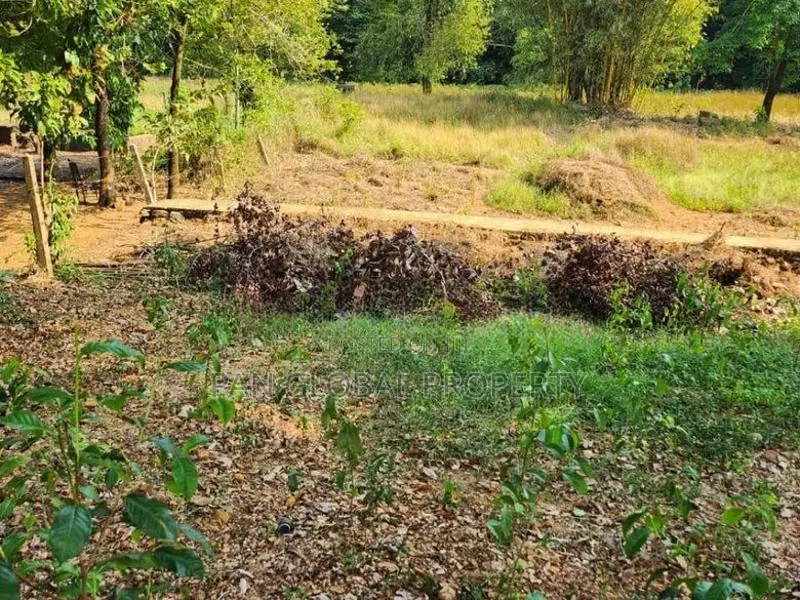 Land for Sale in Ingiriya
