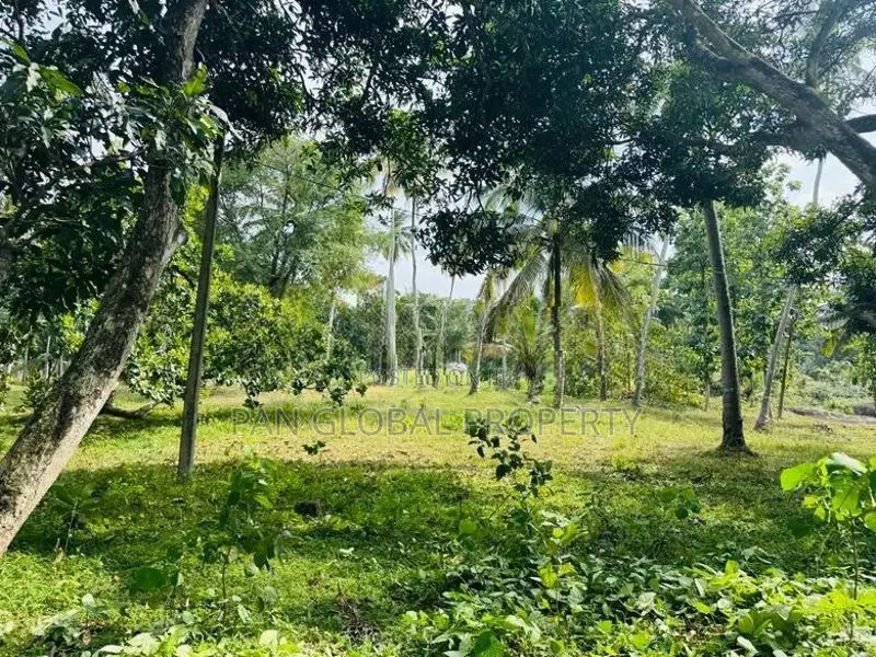 Estate for Sale in Kurunegala