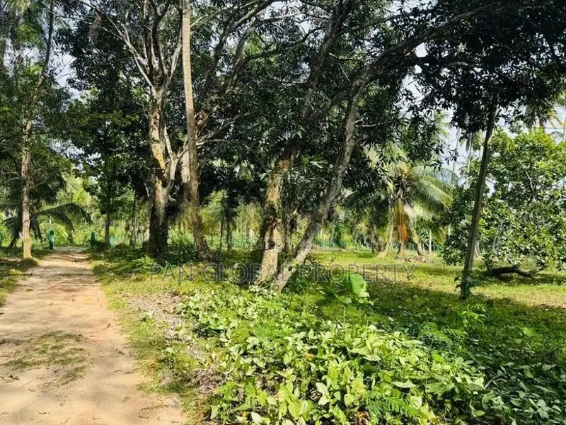 Estate for Sale in Kurunegala