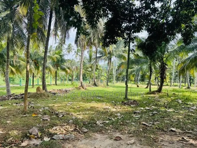 Estate for Sale in Kurunegala