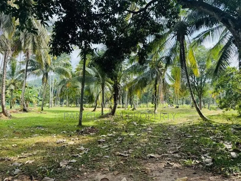 Estate for Sale in Kurunegala