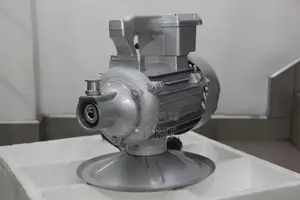 Electric Poker Concrete Vibrator Motor