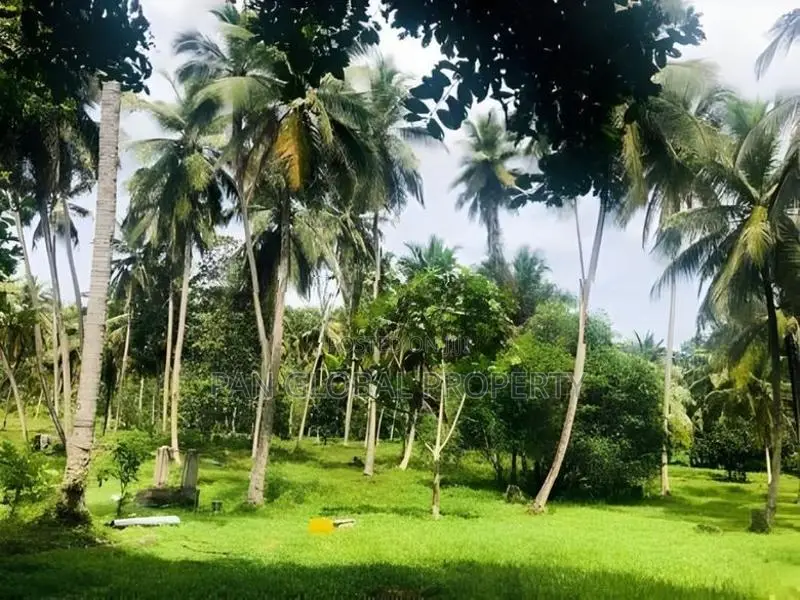 Estate for Sale in Kurunegala
