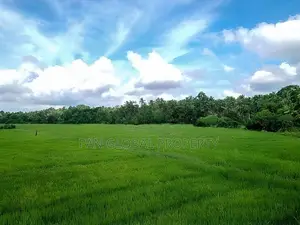 Estate for Sale in Kurunegala