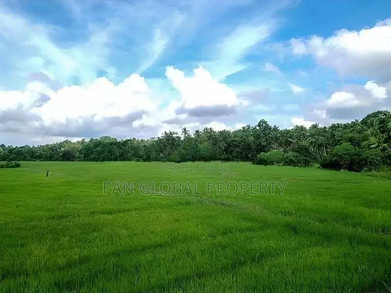Estate for Sale in Kurunegala