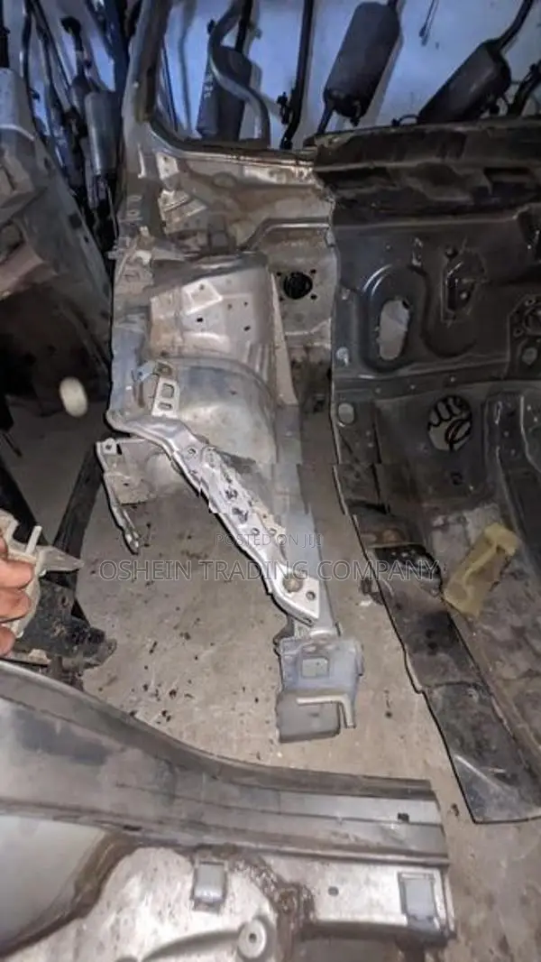 Prous 30 Front Leg Cut