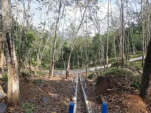 Residential land for sale in Nelundeniaya