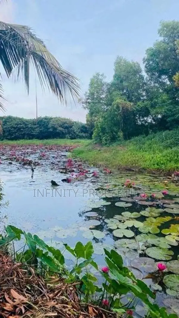 (AF760) 03 Story Luxury House With 22 P Sale in koswatha Nawala