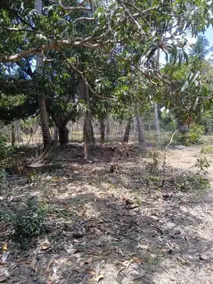 Land for Sale Mirusuvil