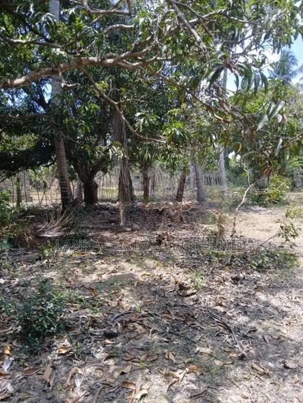 Land for Sale Mirusuvil