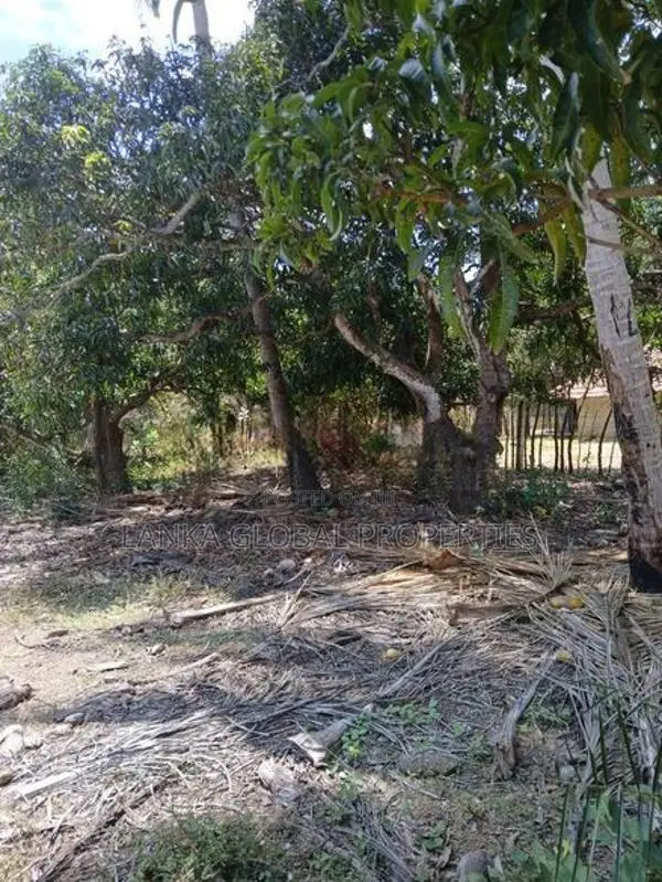 Land for Sale Mirusuvil