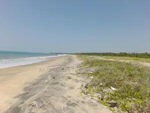 Pothuvil : 2 acres Land for Sale Facing Beach