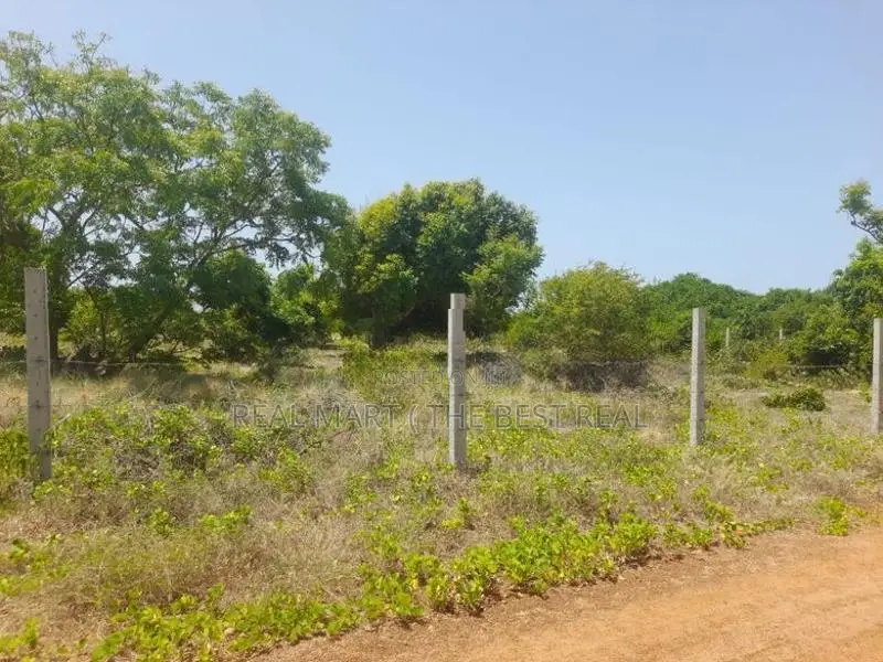 Pothuvil : 2 acres Land for Sale Facing Beach