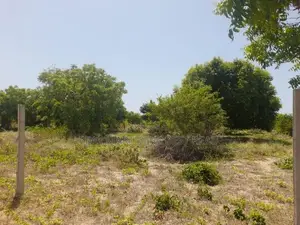 Pothuvil : 2 acres Land for Sale Facing Beach