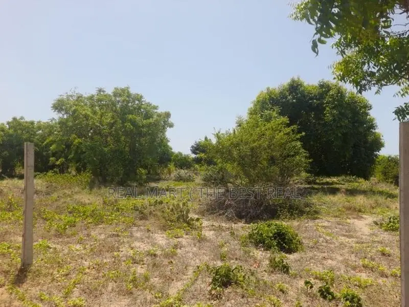 Pothuvil : 2 acres Land for Sale Facing Beach