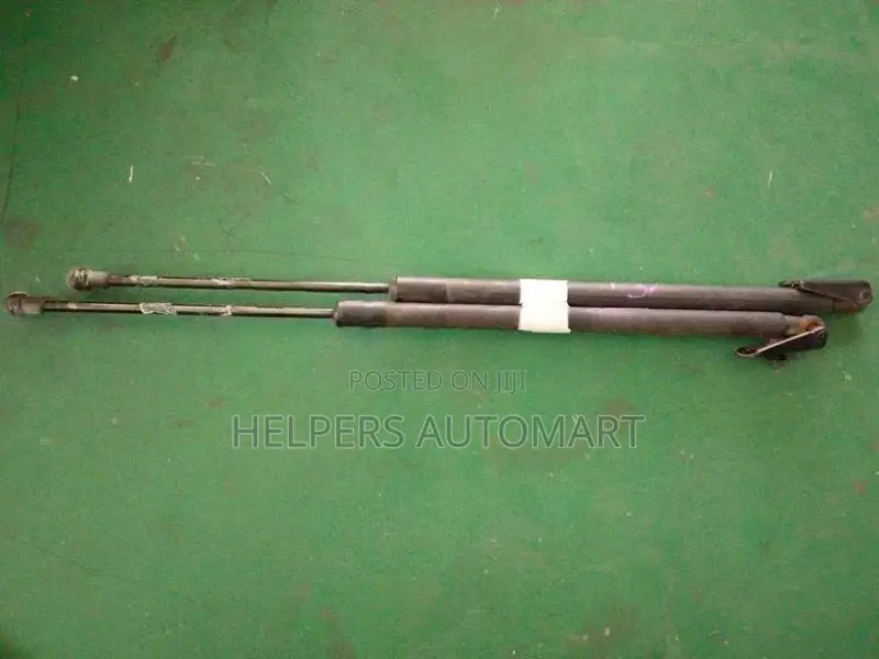 Nissan X-Trail T31 Dicky Shock