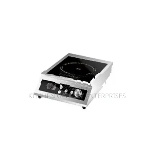 Electric Induction Cooker