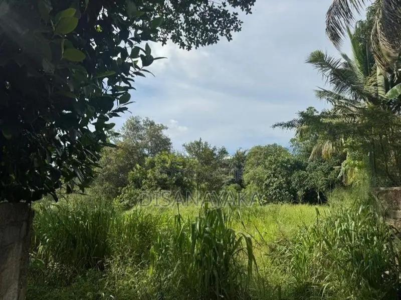 Super Land for Sale in Rajagiriya Ds6565