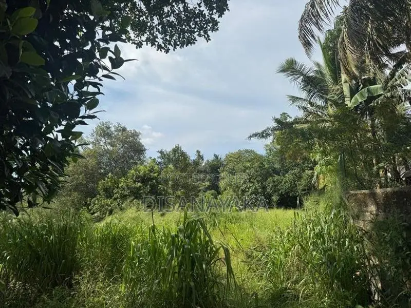 Super Land for Sale in Rajagiriya Ds6565