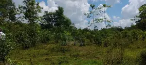 Horana Millaniya Junction 168 Perches Land for Sale