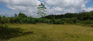 Jaela Minuwangoda Road facing 25 Perches Land For sale