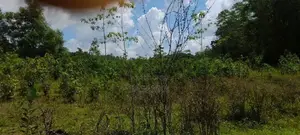 Horana Millaniya Junction 168 Perches Land for Sale