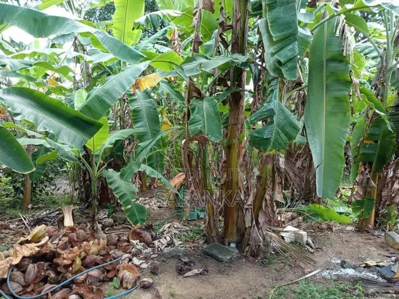 හොරණ – දික්හෙනපුර ප්‍රදේශයේ 20perches ඉඩම