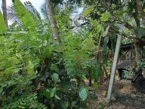 හොරණ – දික්හෙනපුර ප්‍රදේශයේ 20perches ඉඩම