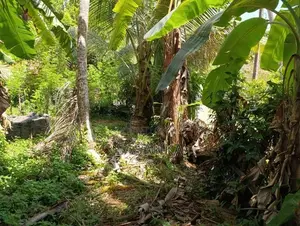 හොරණ – දික්හෙනපුර ප්‍රදේශයේ 20perches ඉඩම
