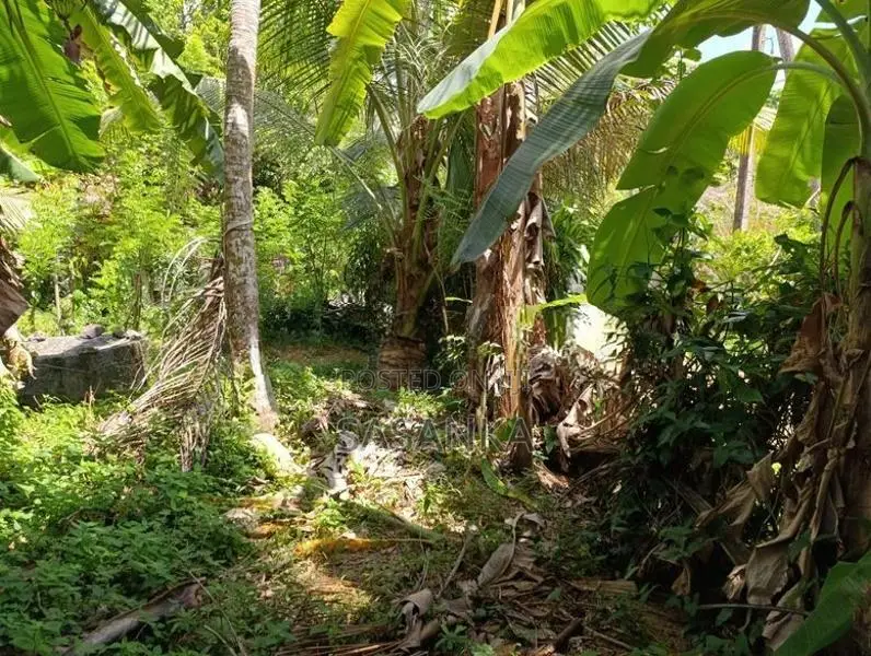 හොරණ – දික්හෙනපුර ප්‍රදේශයේ 20perches ඉඩම