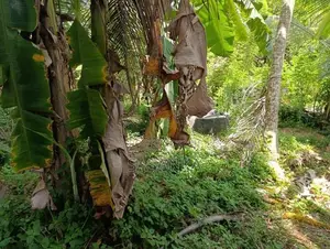 හොරණ – දික්හෙනපුර ප්‍රදේශයේ 20perches ඉඩම