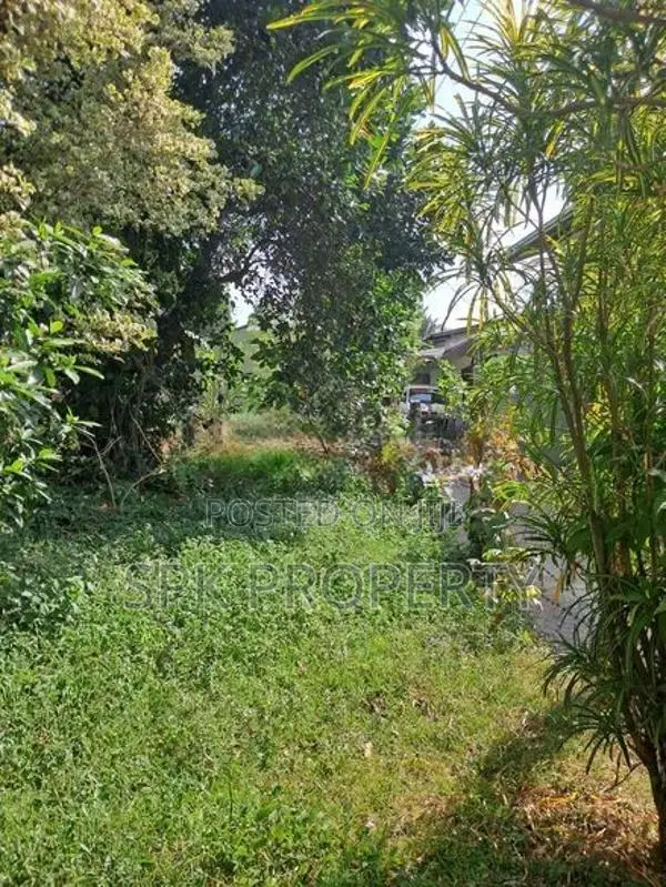 Land for Sale Thalahena