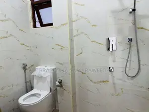 Brand New Modern super luxury 2 Story House-piliyandala