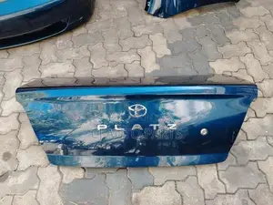 Toyota Platz Dicky Door