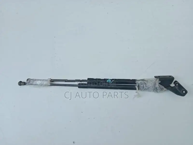 Nissan Dualis Dicky Shock Pair