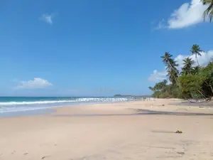 Prime Land for Sale with Breathtaking Beach Views