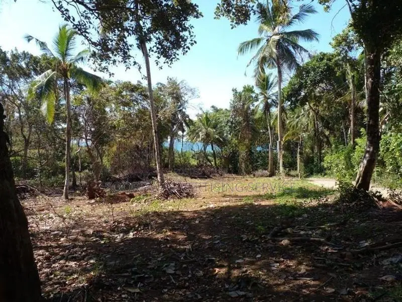 Prime Land for Sale with Breathtaking Beach Views
