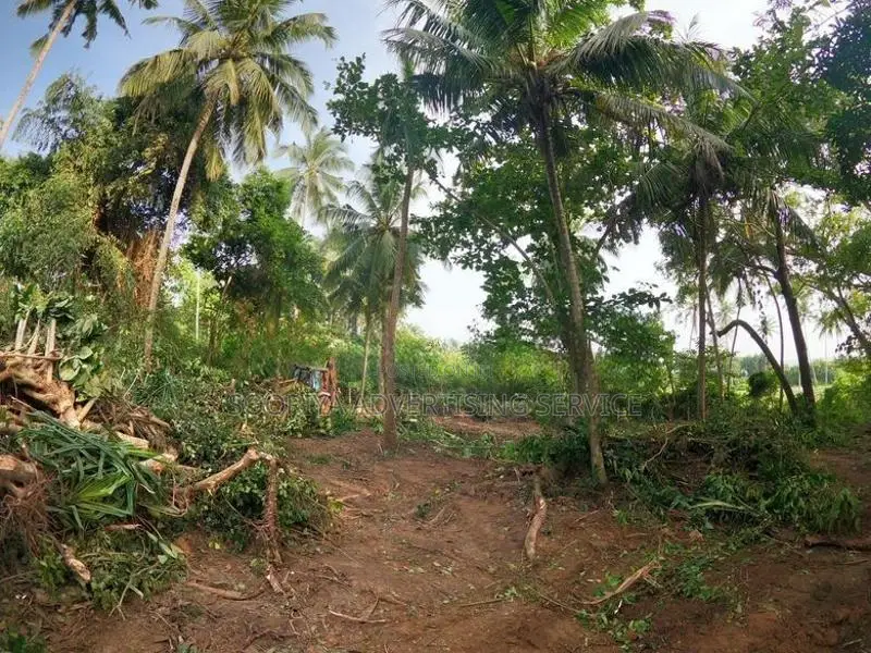 Prime Land for Sale with Breathtaking Beach Views