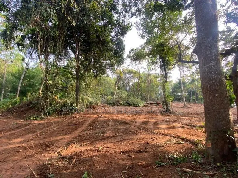 Prime Land for Sale with Breathtaking Beach Views