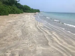 Passikuda,81 Mtrs Of Private Beach Frontend Bare Land For Rent (NZM111