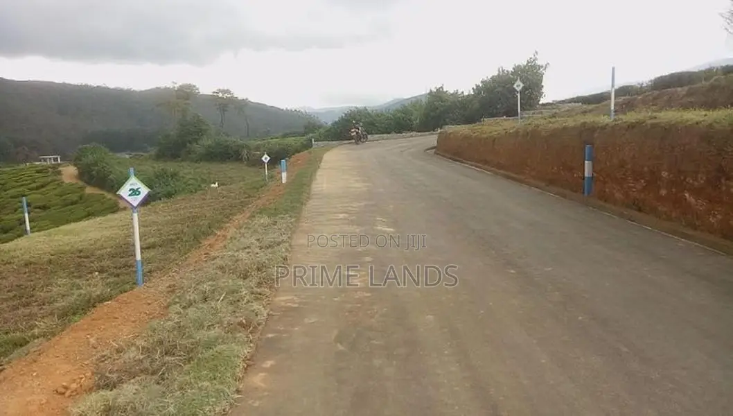 View Point Land for Sale Nuwara Eliya