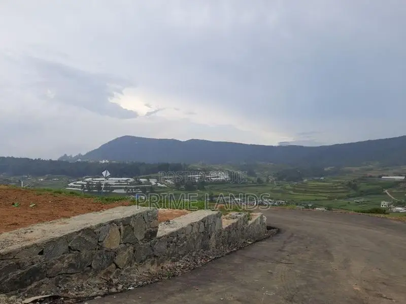 View Point Land for Sale Nuwara Eliya