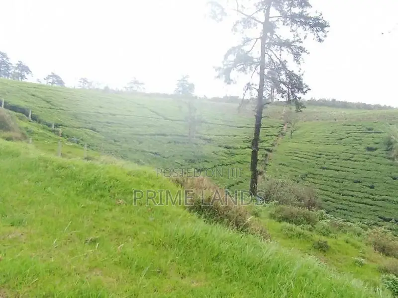 View Point Land for Sale Nuwara Eliya